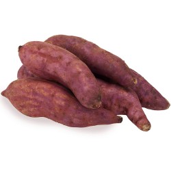 Sweet Potato (Shakargandi...